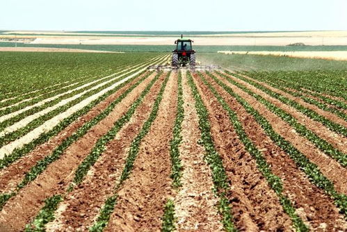 豆粕價(jià)格 連豆粕尾盤(pán)暴力拉升90元 噸 原因竟然是它