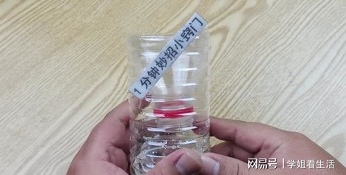 巧用塑料瓶與白糖，輕松安全消滅家中蒼蠅